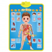 Joc interactiv Corpul uman in limba engleza