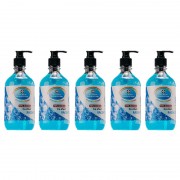 5 Gel dezinfectant Racoritor Lebada pentru maini 70% alcool,5x500ml