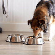 Castron inox pentru animale,antiderapant,900 ml
