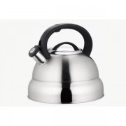 Ceainic Peterhof din inox,4.5 Litri