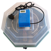 Clocitoare Incubator cleo 5DTH cu dispozitiv intoarcere oua si termohigrometru