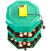Clocitoare Incubator Cleo 5x2 DT cu dispozitiv de intoarcere si termometru