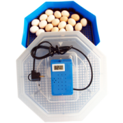 Clocitoare Incubator electric CLEO 5 TH cu termohigrometru