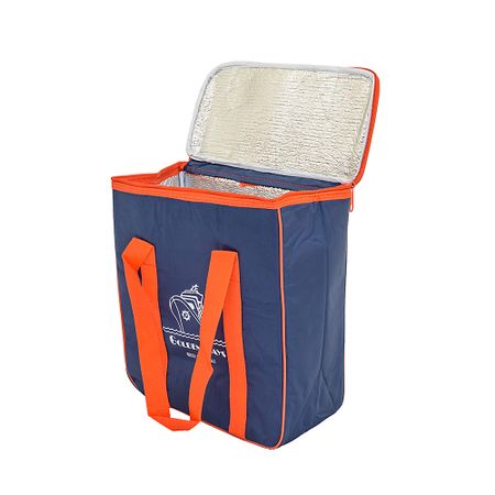 Geanta Frigorifica 16L 2 Pastile racire 400 gr