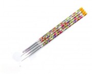 Pensule set 4 motiv floral