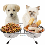 Set 2 castroane din inox pentru animale, suport metalic,2 x 1.5 Litri