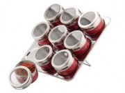 Set Condimente cu Suport Magnetic Claudio Peterhof, 10 piese, Sticlă, Inox