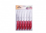 Set cutite inox